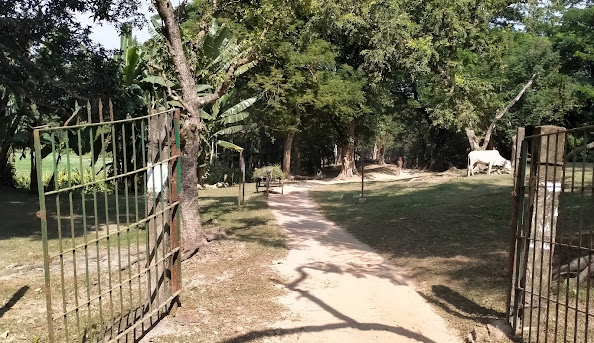 Berachampa hadipur ghor font view