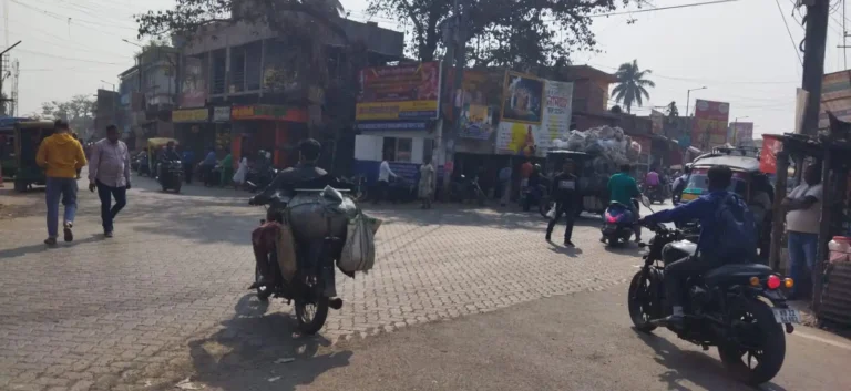 বেড়াচাঁপা সম্পর্কে অজানা তথ্য